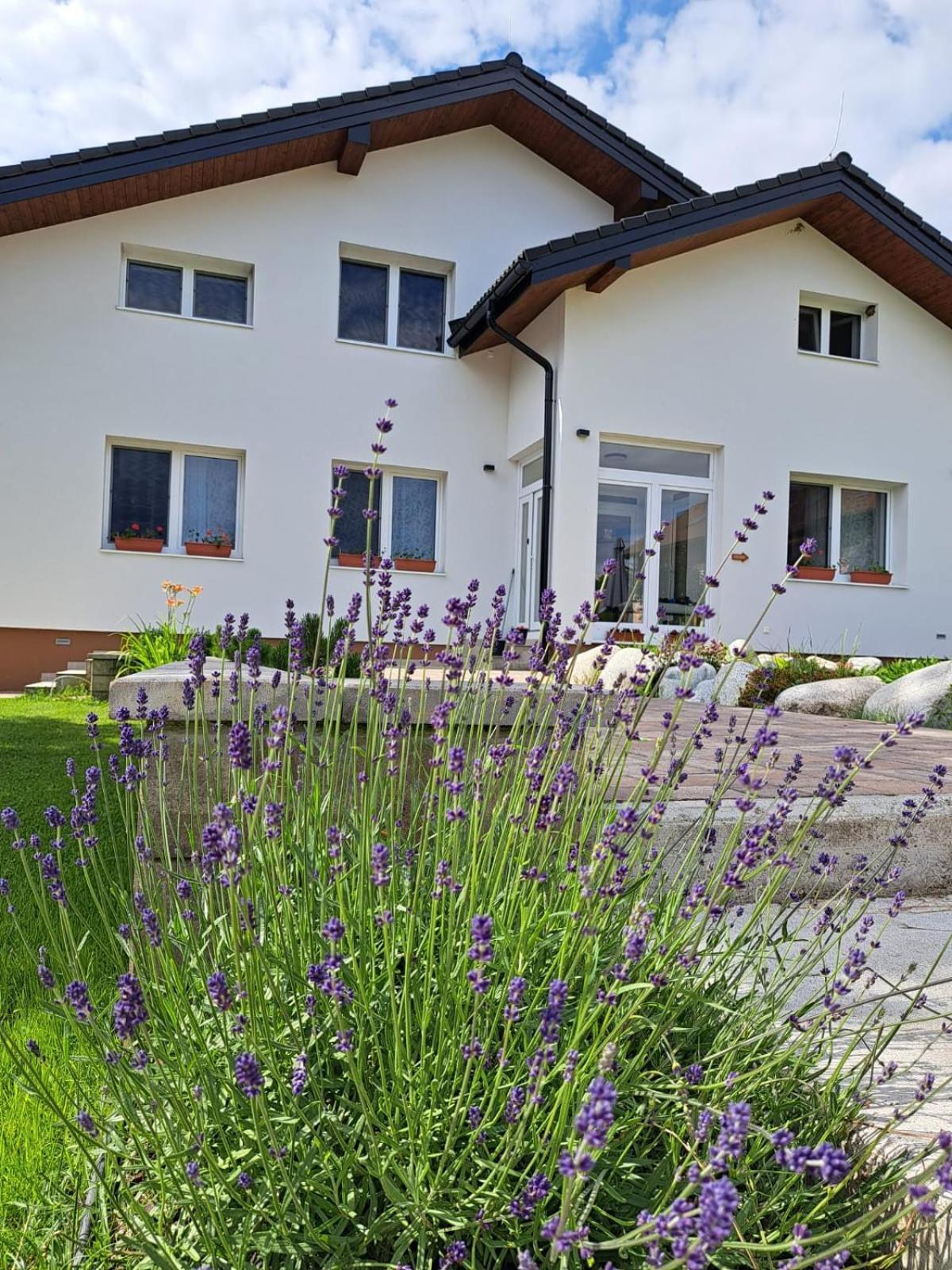 Ziar Apartmany 43 Екстер'єр фото